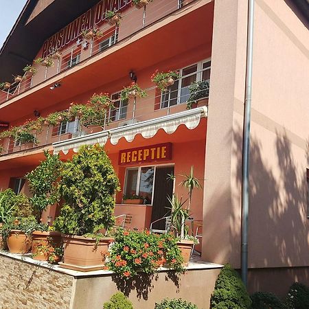 Hotel Onalisa à Arad Extérieur photo