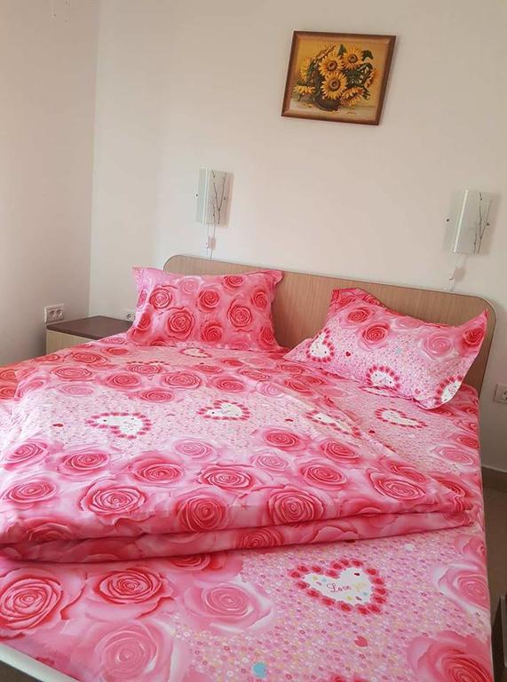 Hotel Onalisa à Arad Extérieur photo